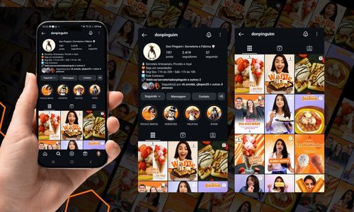 Social Media para empresa de sorvetes Don Pinguim